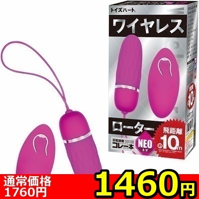 yPSUO~ʌzCX[^[@mdnllP_聄iij