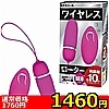 yPSUO~ʌzCX[^[@mdnllP_聄(i)